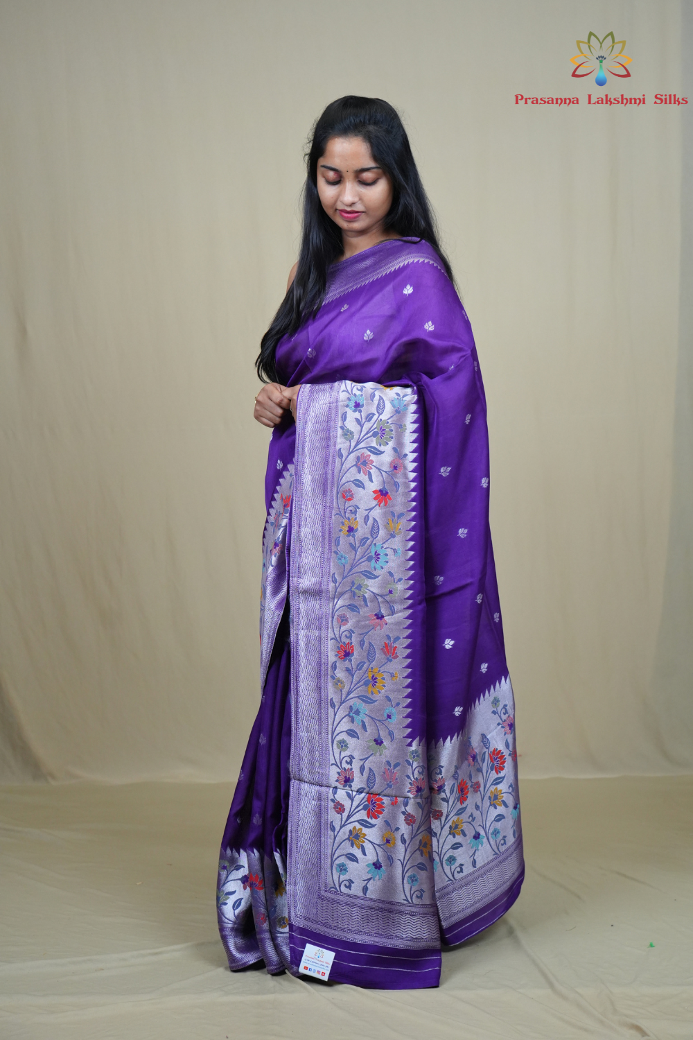Tussar Georgette Saree with all-over silver zari woven motifs and floral Meenakari borders.
