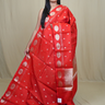 Banarasi Tissue Saree