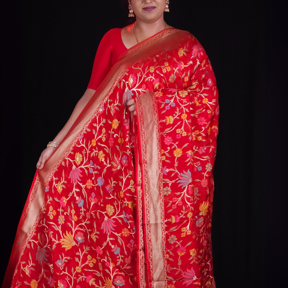 “Elegant floral organza saree with zari border”