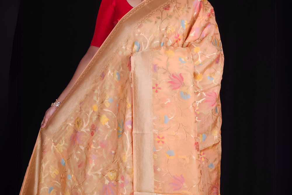 “Elegant floral organza saree with zari border”