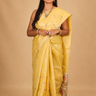 Jute Tissue saree with allover thread woven buttas
