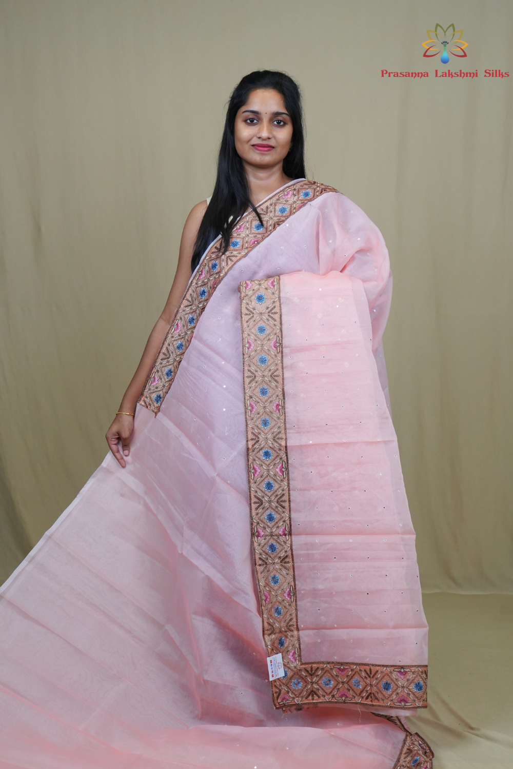 Organza Saree with all-over small mirror work and thread-woven tissue floral borders.
