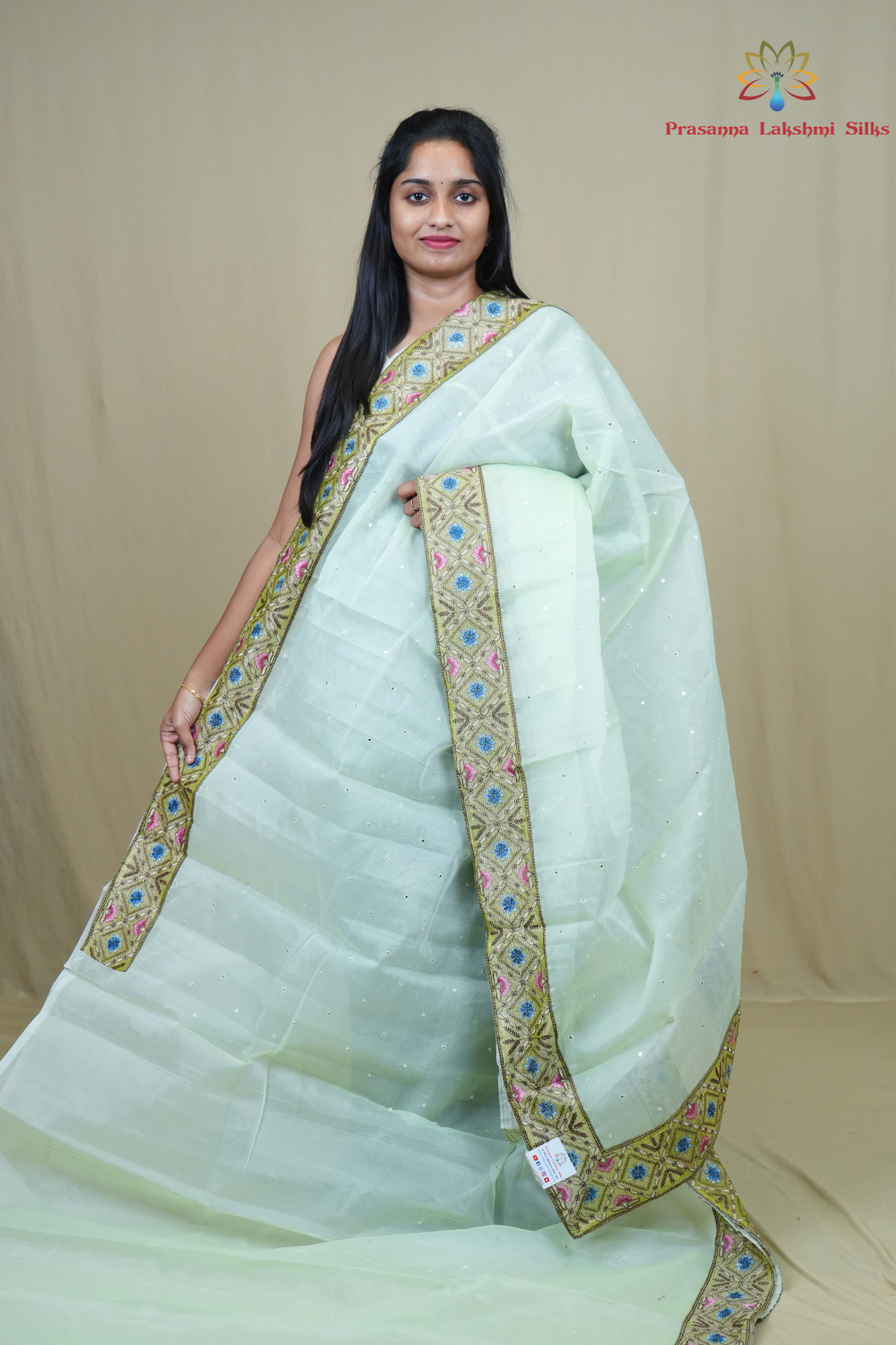 Organza Saree with all-over small mirror work and thread-woven tissue floral borders.
