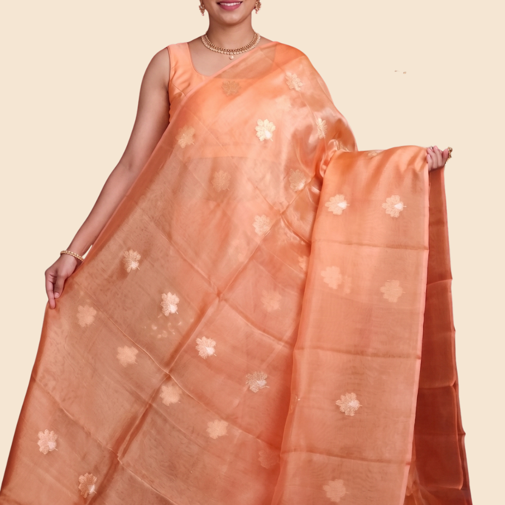 Zari stripe blouse paired with Kora tissue saree
