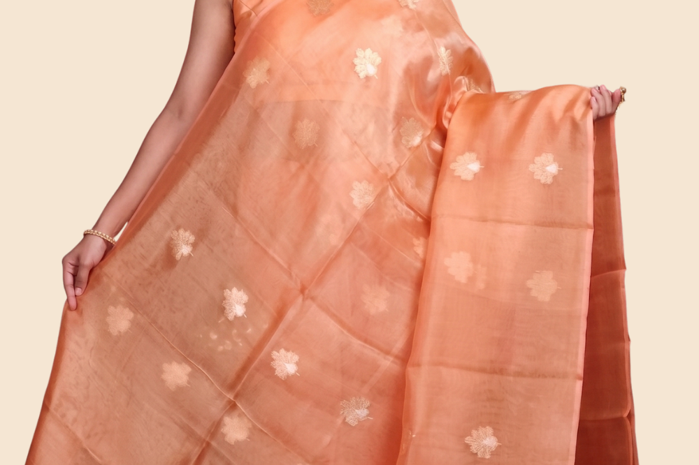 Zari stripe blouse paired with Kora tissue saree
