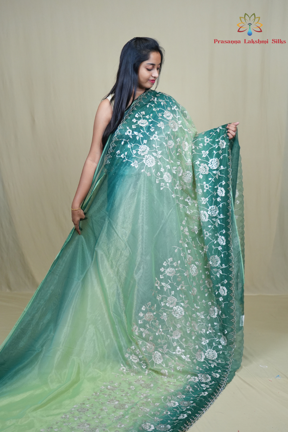 Elegant ethnic tissue saree featuring cutwork borders and graceful running pallu design.
