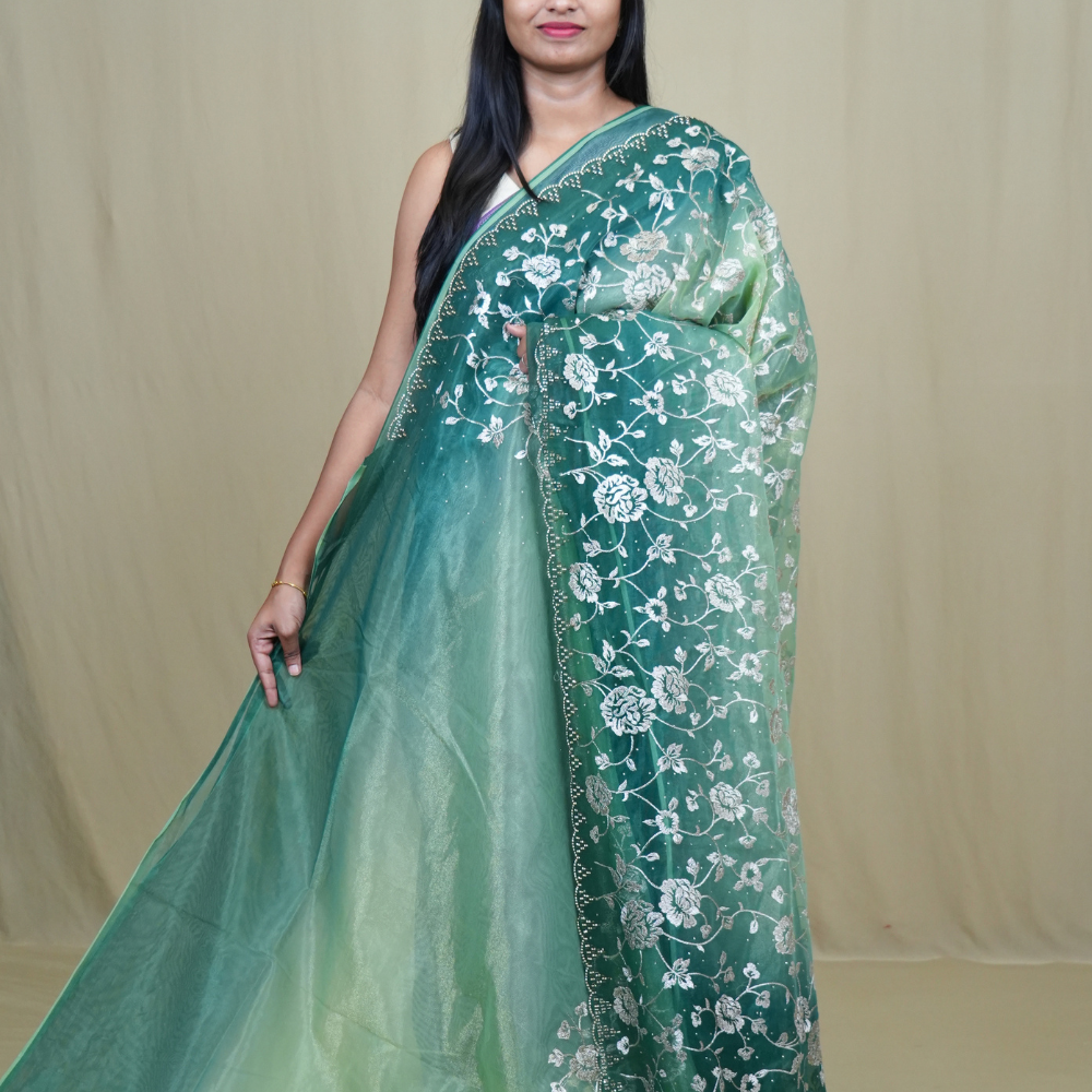 Exquisite Tissue Net Saree with all-over silver zari floral embroidery and bead detailing.
