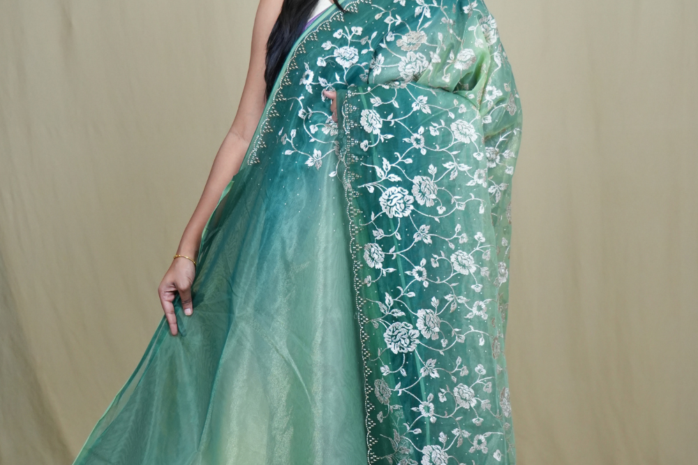 Exquisite Tissue Net Saree with all-over silver zari floral embroidery and bead detailing.
