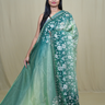 Exquisite Tissue Net Saree with all-over silver zari floral embroidery and bead detailing.
