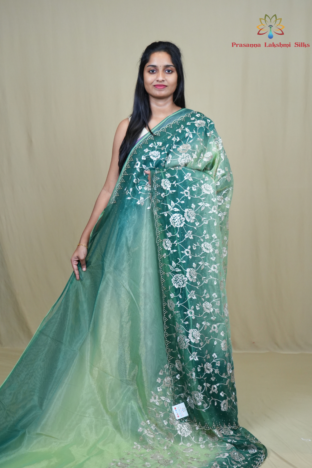 Exquisite Tissue Net Saree with all-over silver zari floral embroidery and bead detailing.
