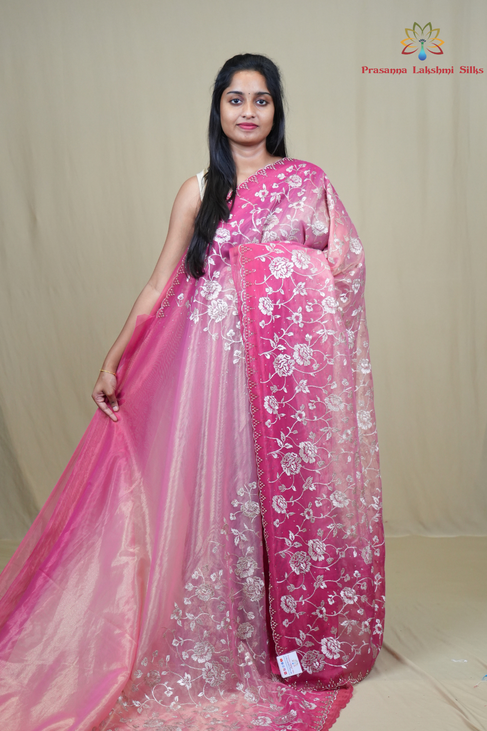 Exquisite Tissue Net Saree with all-over silver zari floral embroidery and bead detailing.
