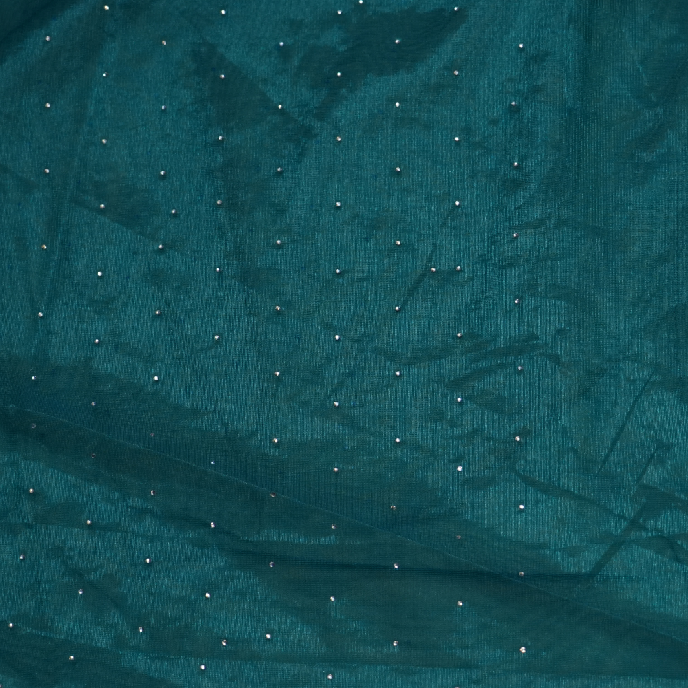 Wedding guest tissue net saree paired with running blouse piece suitable for festive occasions.