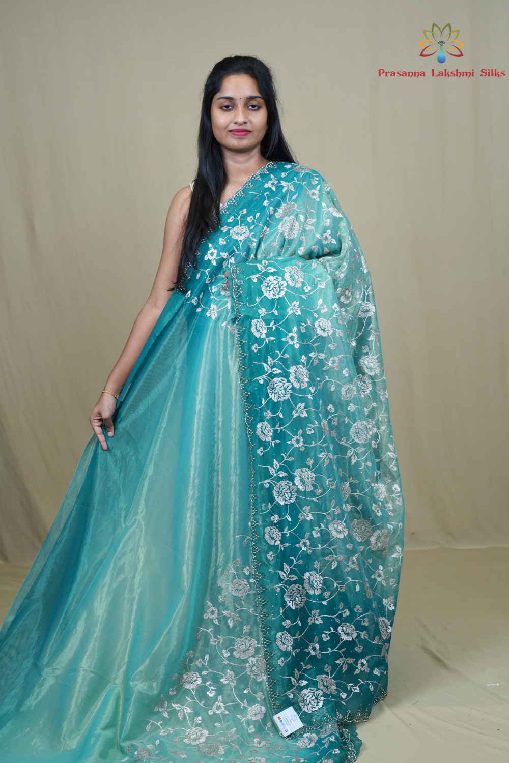 Exquisite Tissue Net Saree with all-over silver zari floral embroidery and bead detailing.
