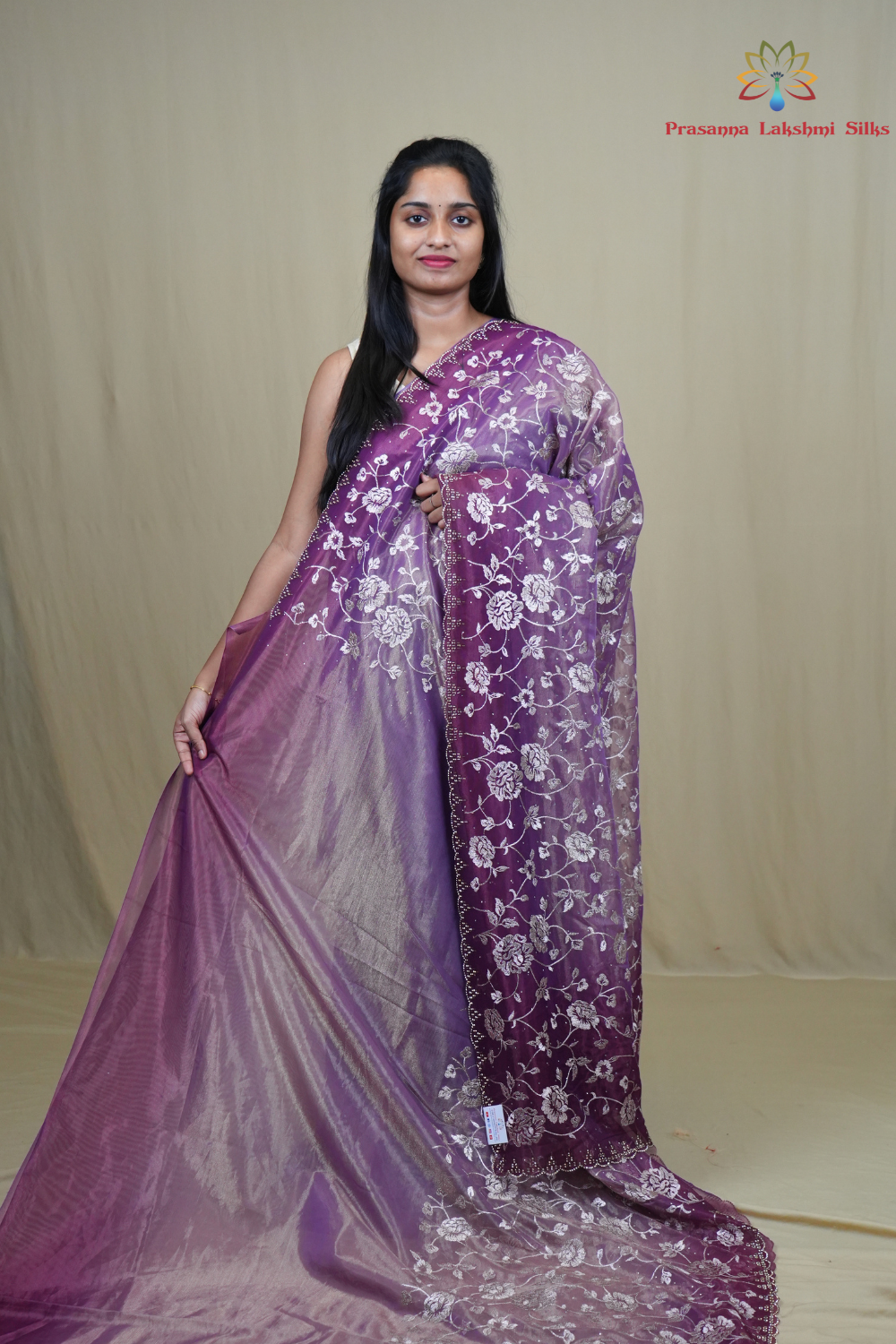 Exquisite Tissue Net Saree with all-over silver zari floral embroidery and bead detailing.
