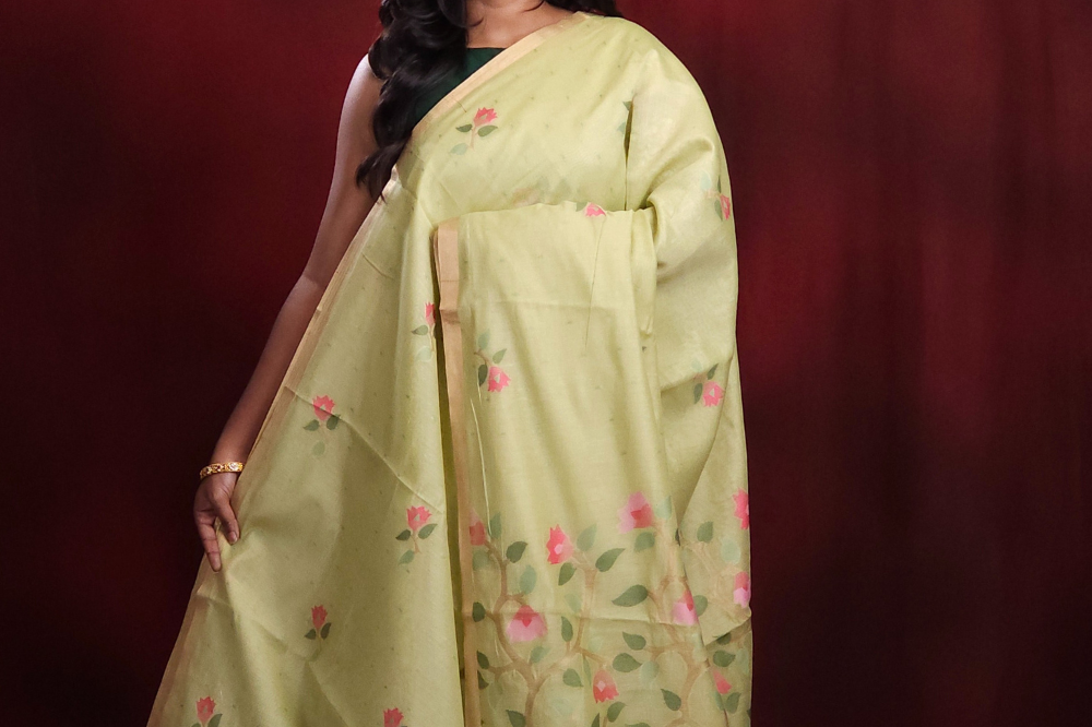 Chanderi silk cotton saree with Jhamdhani weaving  Pallu