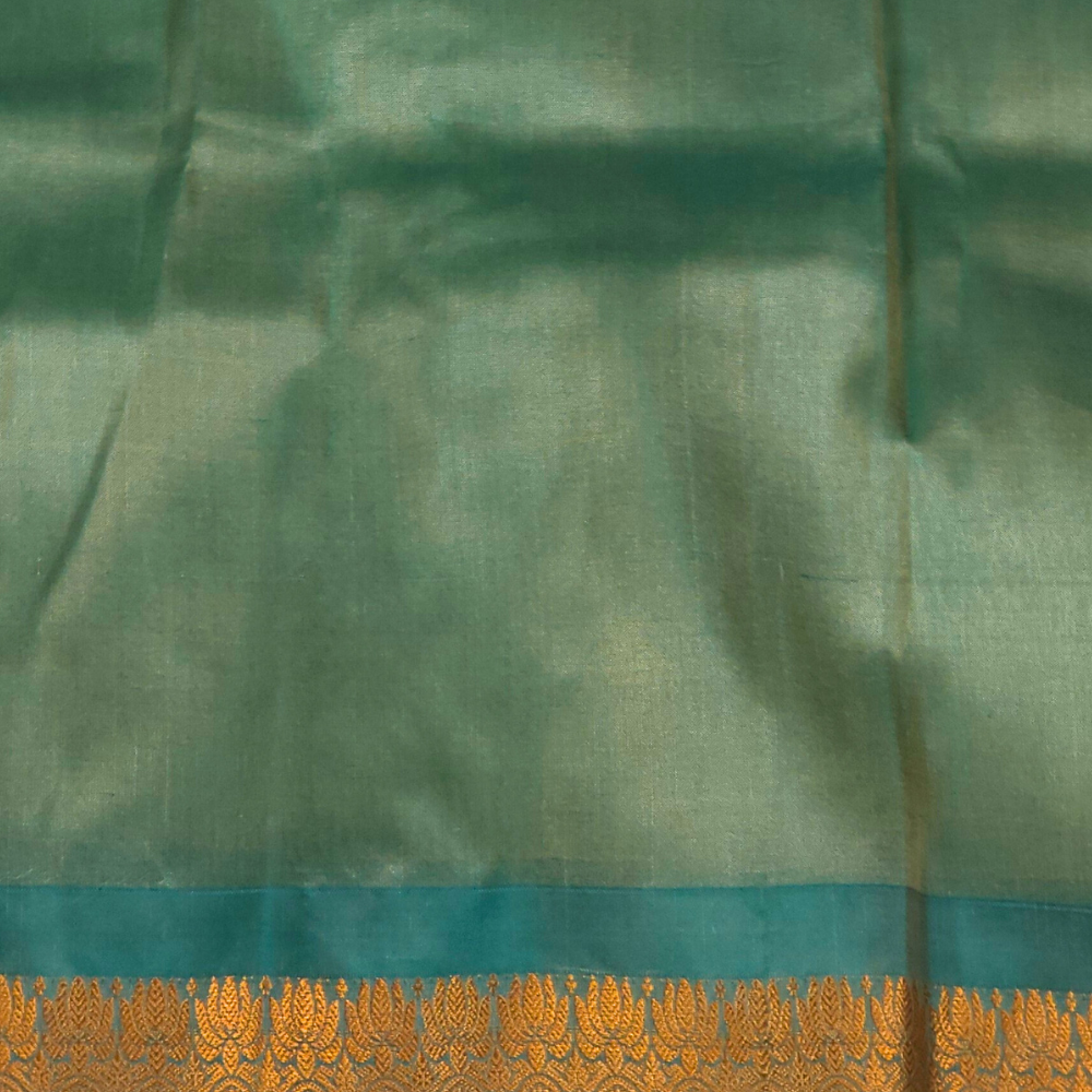 Cream Gadwal saree draped, showing brocade pallu and Light Sea Green blouse