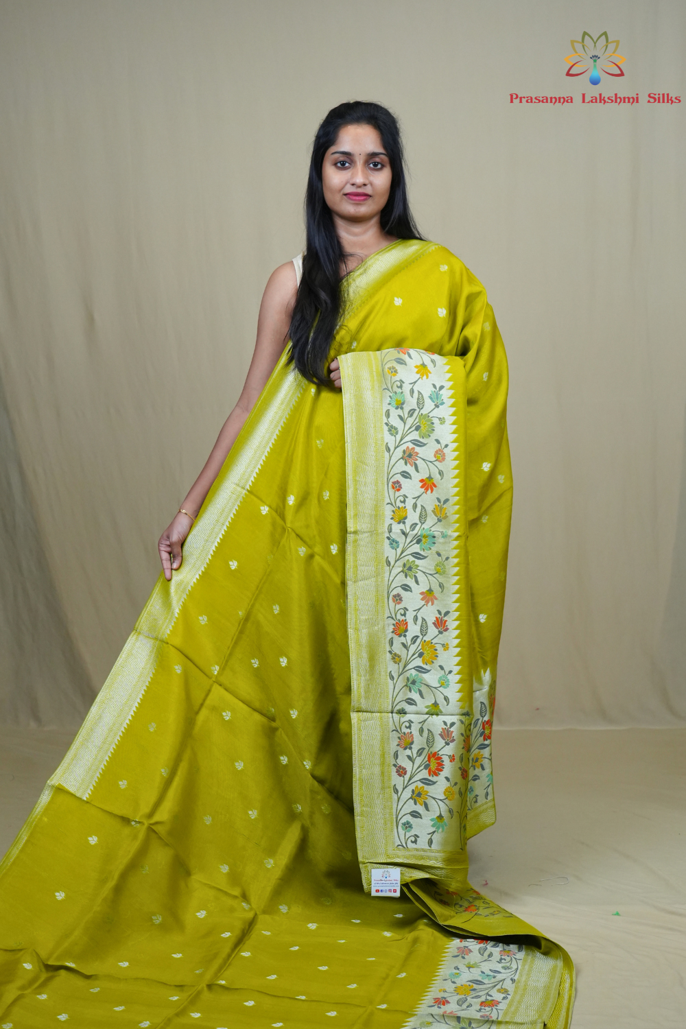 Tussar Georgette Saree with all-over silver zari woven motifs and floral Meenakari borders.
