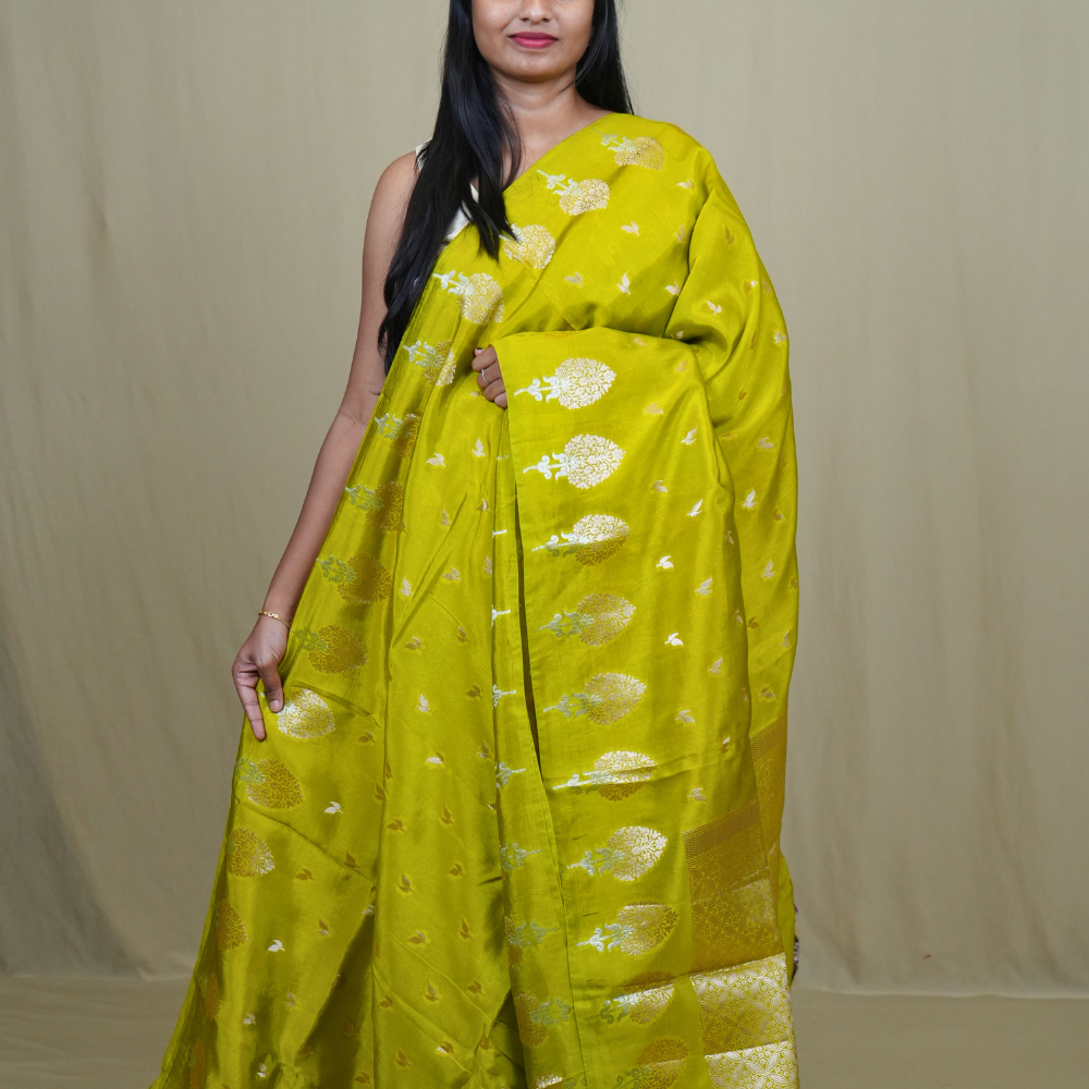 Banarasi Munga silk saree with all-over leaf-shaped zari woven motifs and gold/silver floral borders.
