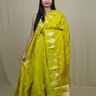 Banarasi Munga silk saree with all-over leaf-shaped zari woven motifs and gold/silver floral borders.
