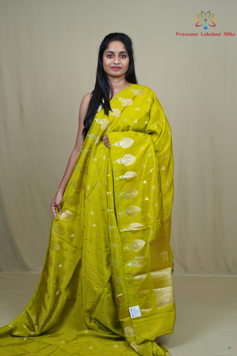 Banarasi Munga silk saree with all-over leaf-shaped zari woven motifs and gold/silver floral borders.
