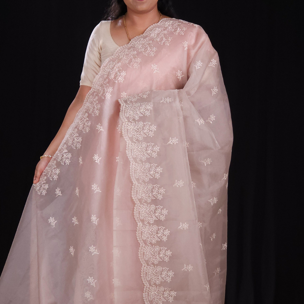 Light brown Organza Saree for parties