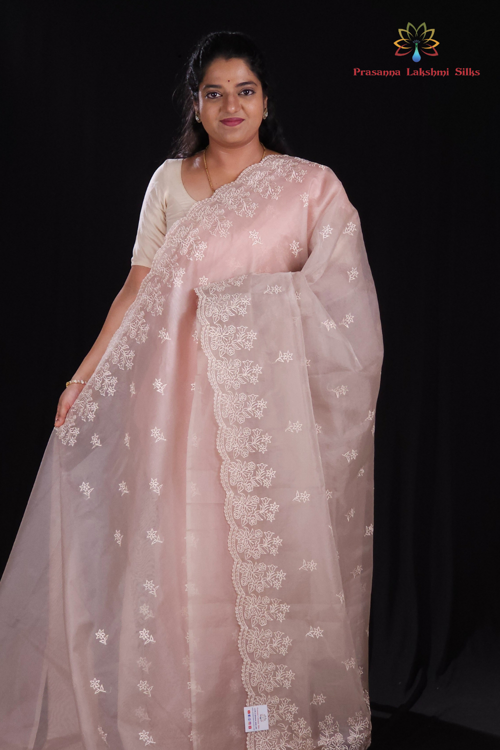 Light brown Organza Saree for parties