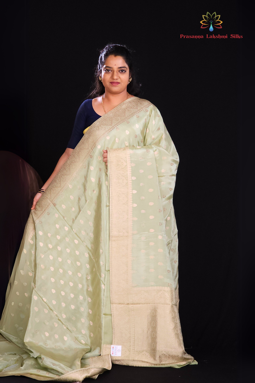 pista green Designer georgette saree for weddings and parties