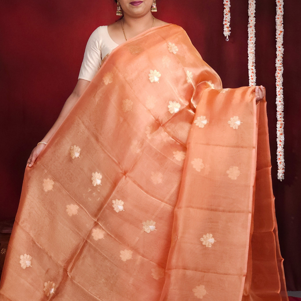 Woman wearing a peach saree with white floral patterns against a red background